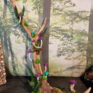 Sentinelle Mycelienne